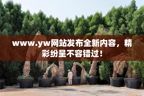 www.yw网站发布全新内容，精彩纷呈不容错过！