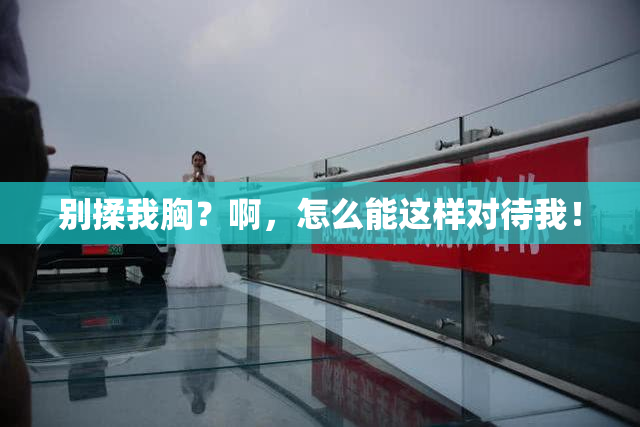 别揉我胸？啊，怎么能这样对待我！