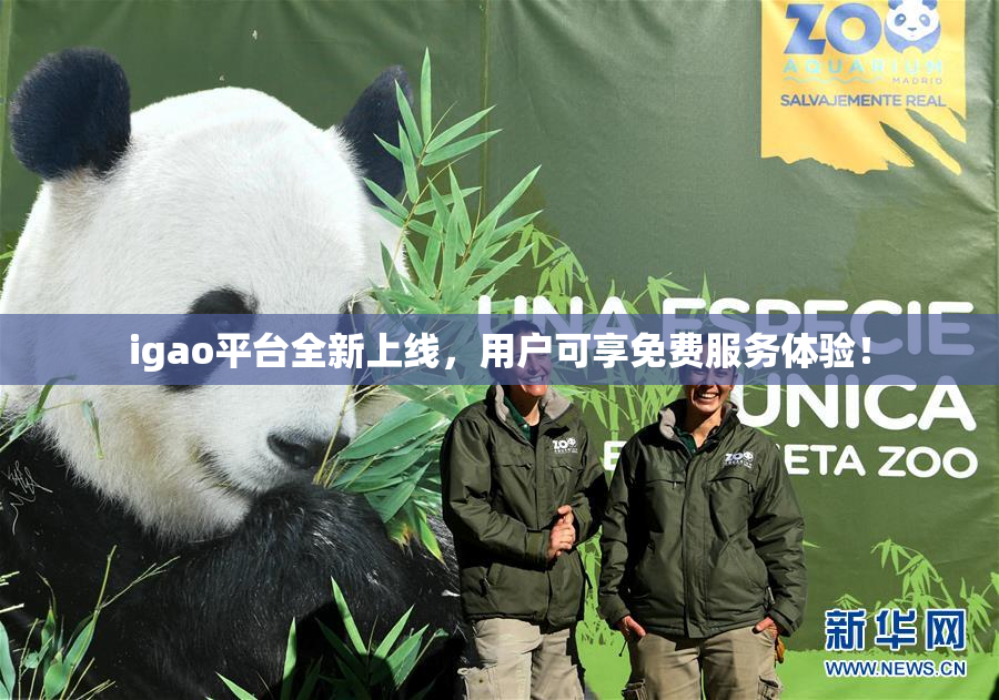 igao平台全新上线，用户可享免费服务体验！
