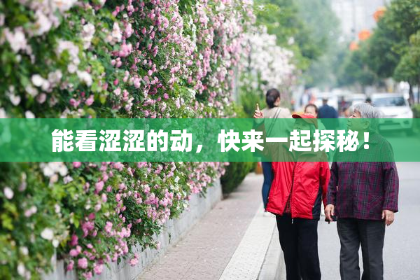 能看涩涩的动，快来一起探秘！