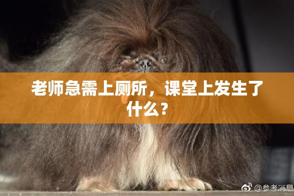 老师急需上厕所，课堂上发生了什么？