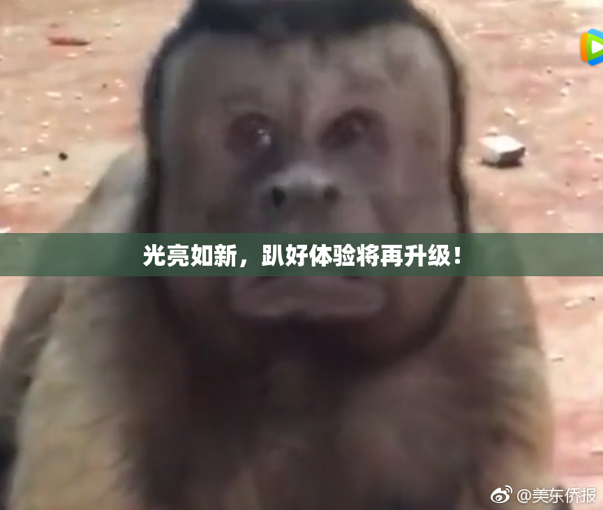 光亮如新，趴好体验将再升级！