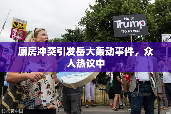 厨房冲突引发岳大轰动事件，众人热议中
