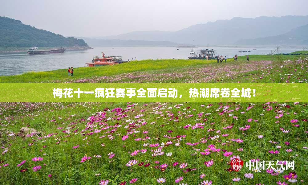 梅花十一疯狂赛事全面启动，热潮席卷全城！