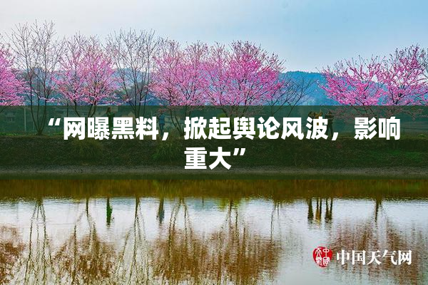 “网曝黑料，掀起舆论风波，影响重大”