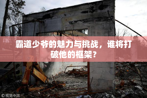 霸道少爷的魅力与挑战，谁将打破他的框架？