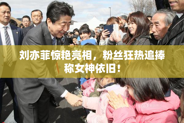 刘亦菲惊艳亮相，粉丝狂热追捧称女神依旧！