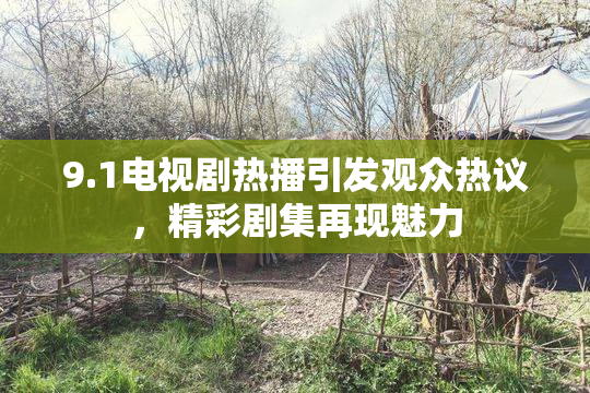 9.1电视剧热播引发观众热议，精彩剧集再现魅力