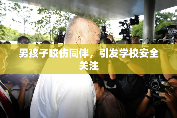 男孩子咬伤同伴，引发学校安全关注
