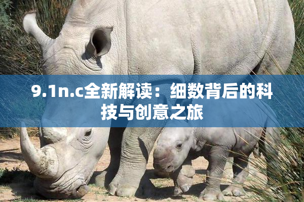 9.1n.c全新解读：细数背后的科技与创意之旅