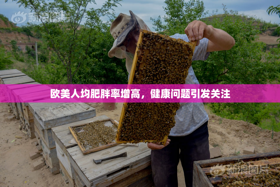 欧美人均肥胖率增高，健康问题引发关注