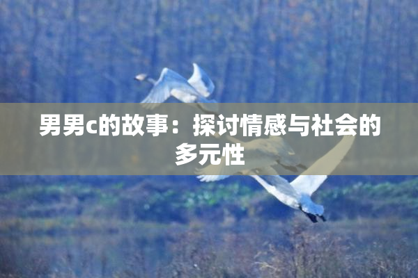 男男c的故事：探讨情感与社会的多元性