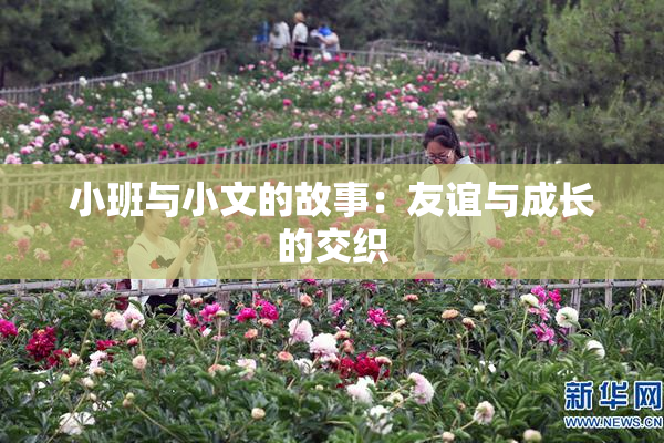 小班与小文的故事：友谊与成长的交织