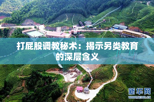 打屁股调教秘术：揭示另类教育的深层含义