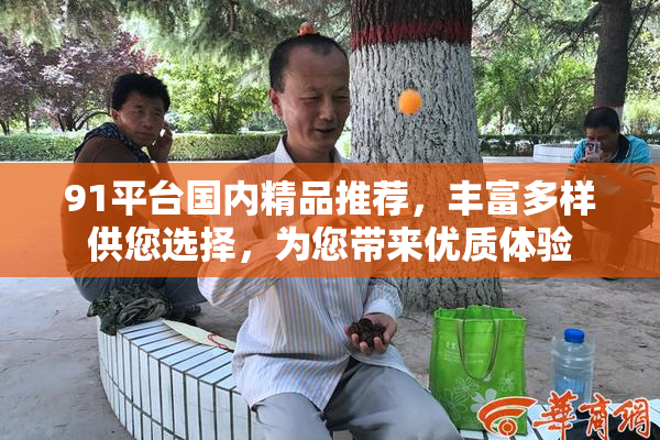 91平台国内精品推荐，丰富多样供您选择，为您带来优质体验