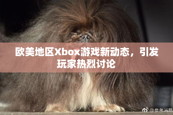 欧美地区Xbox游戏新动态，引发玩家热烈讨论