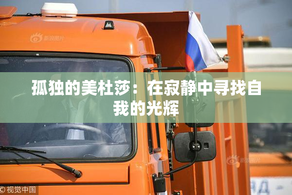 孤独的美杜莎：在寂静中寻找自我的光辉