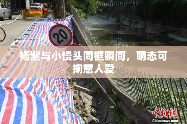 杨紫与小馒头同框瞬间，萌态可掬惹人爱