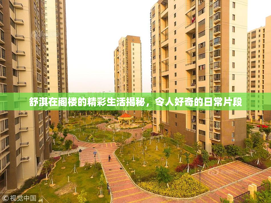 舒淇在阁楼的精彩生活揭秘，令人好奇的日常片段