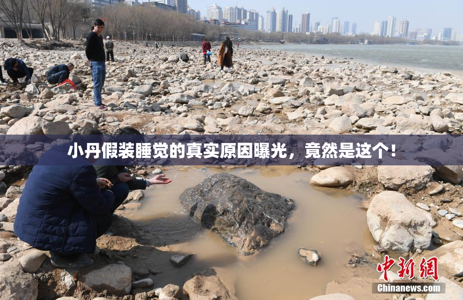 小丹假装睡觉的真实原因曝光，竟然是这个！