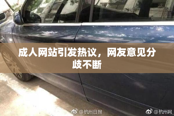 成人网站引发热议，网友意见分歧不断
