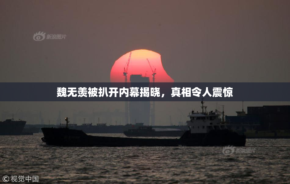 魏无羡被扒开内幕揭晓，真相令人震惊