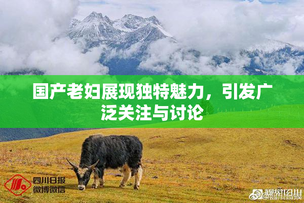 国产老妇展现独特魅力，引发广泛关注与讨论