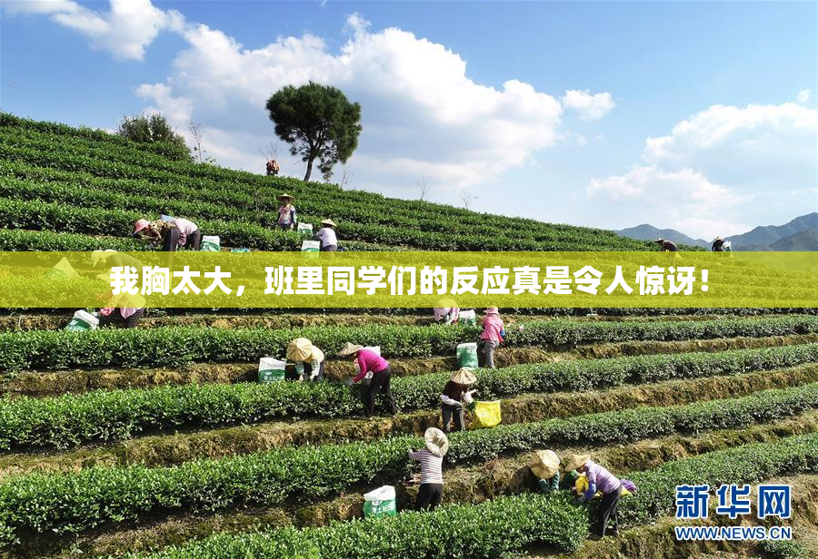 我胸太大，班里同学们的反应真是令人惊讶！