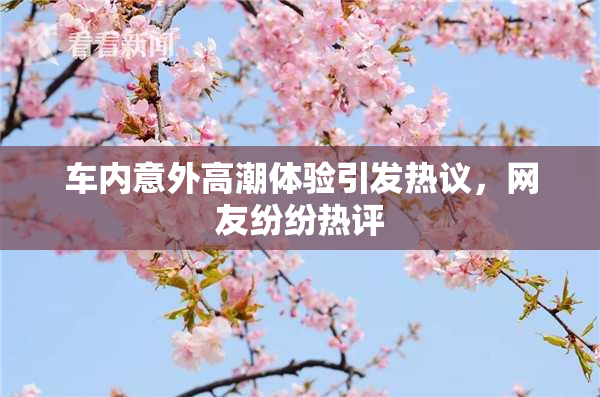 车内意外高潮体验引发热议，网友纷纷热评