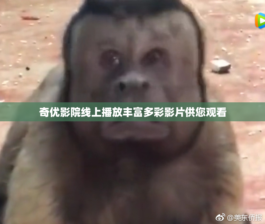 奇优影院线上播放丰富多彩影片供您观看