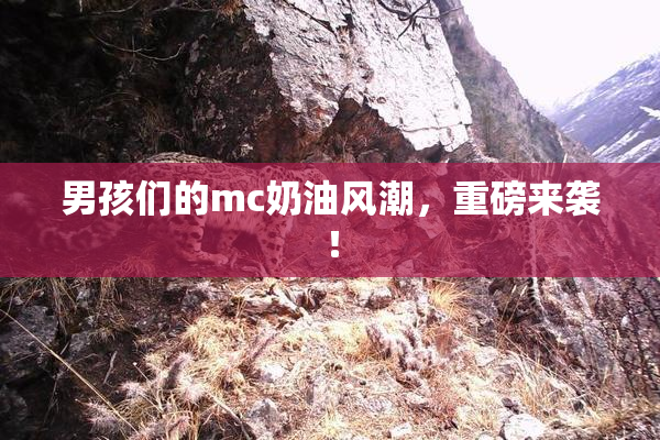 男孩们的mc奶油风潮，重磅来袭！