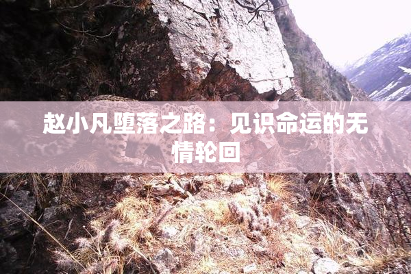赵小凡堕落之路：见识命运的无情轮回