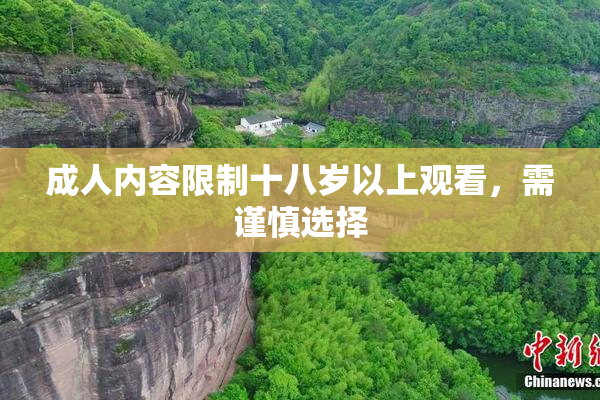 成人内容限制十八岁以上观看，需谨慎选择
