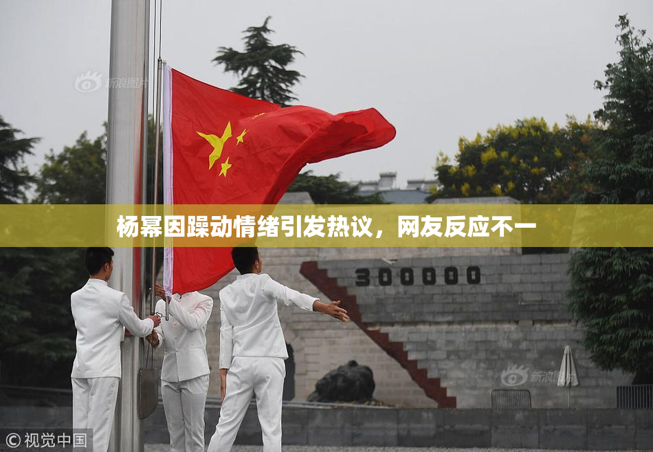 杨幂因躁动情绪引发热议，网友反应不一