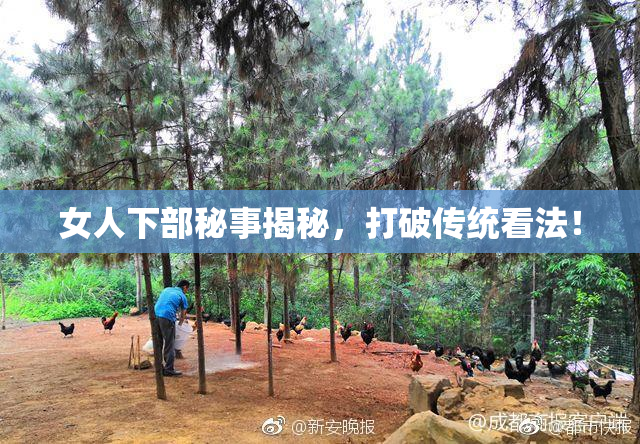 女人下部秘事揭秘，打破传统看法！