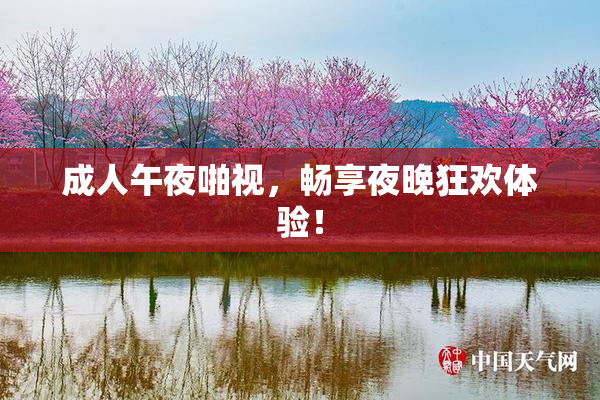 成人午夜啪视，畅享夜晚狂欢体验！