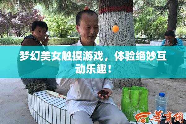 梦幻美女触摸游戏，体验绝妙互动乐趣！