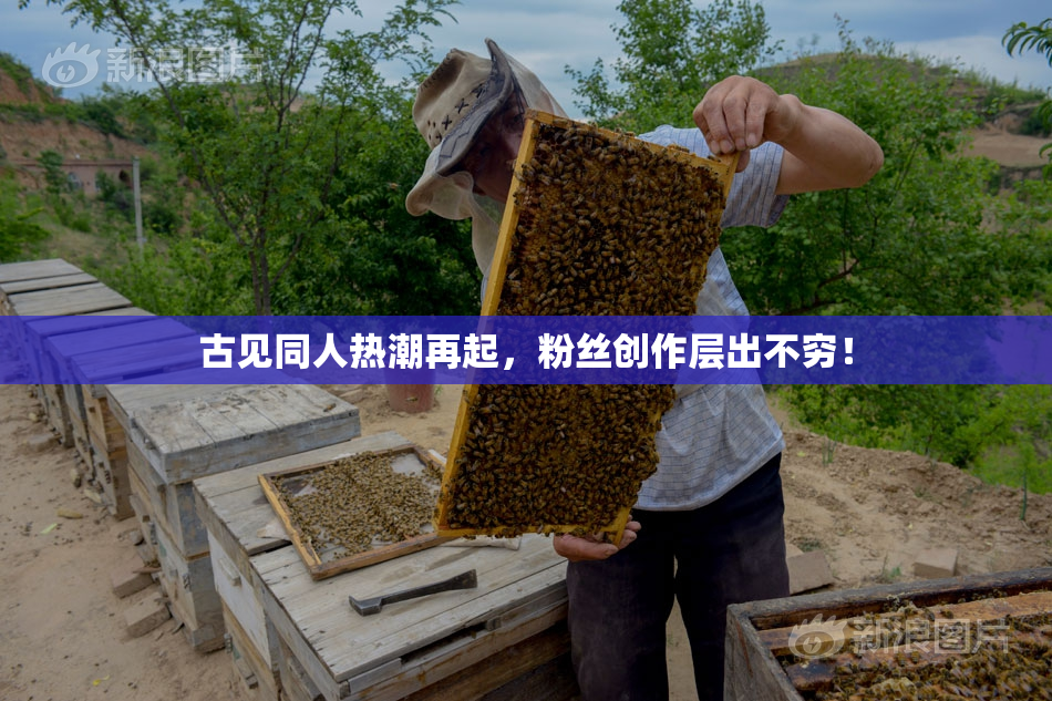 古见同人热潮再起，粉丝创作层出不穷！