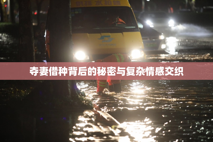 夺妻借种背后的秘密与复杂情感交织