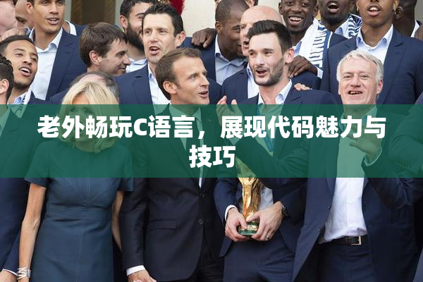 老外畅玩C语言，展现代码魅力与技巧