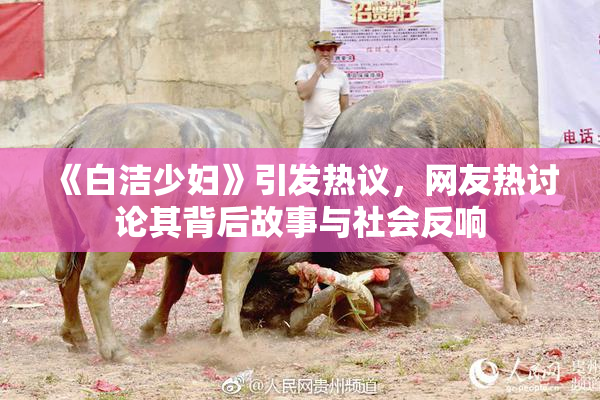 《白洁少妇》引发热议，网友热讨论其背后故事与社会反响