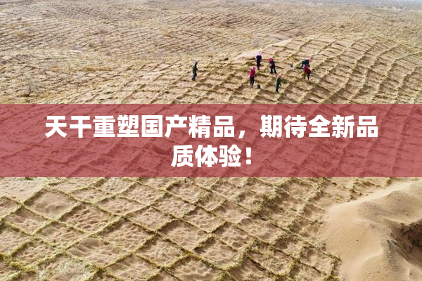天干重塑国产精品，期待全新品质体验！
