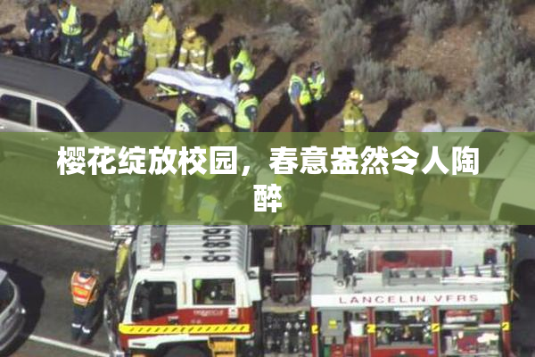 樱花绽放校园，春意盎然令人陶醉