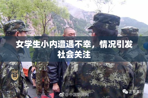 女学生小内遭遇不幸，情况引发社会关注