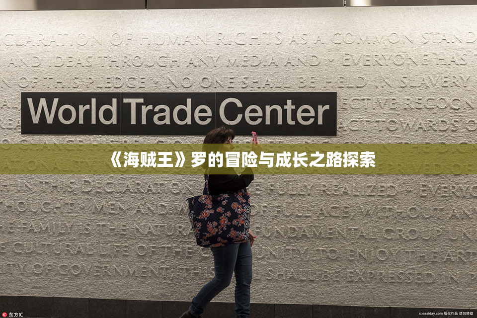 《海贼王》罗的冒险与成长之路探索