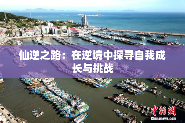 仙逆之路：在逆境中探寻自我成长与挑战