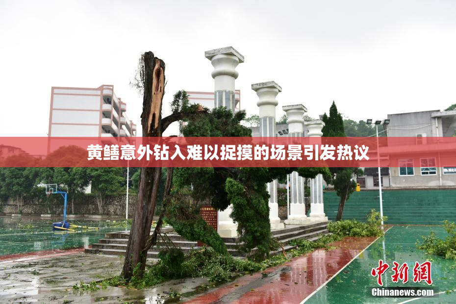 黄鳝意外钻入难以捉摸的场景引发热议