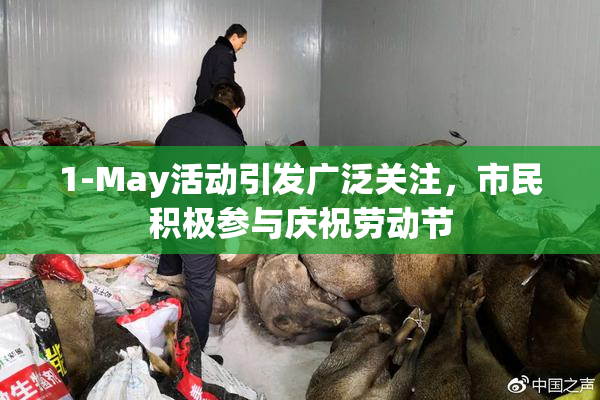 1-May活动引发广泛关注，市民积极参与庆祝劳动节