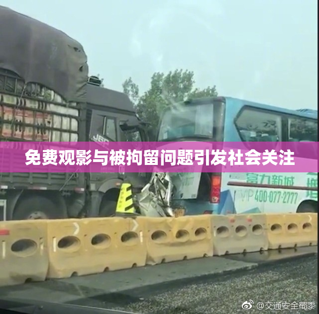 免费观影与被拘留问题引发社会关注