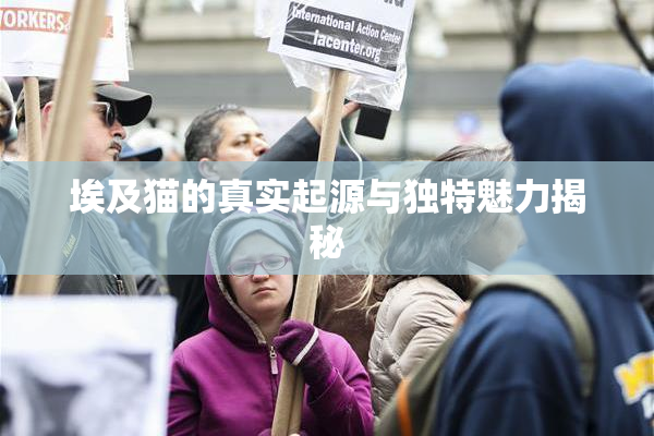 埃及猫的真实起源与独特魅力揭秘